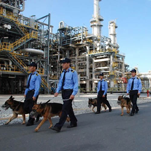 Đơn Vị Cung Cấp Dịch Vụ Bảo Vệ Công Trình Tại Quảng Nam