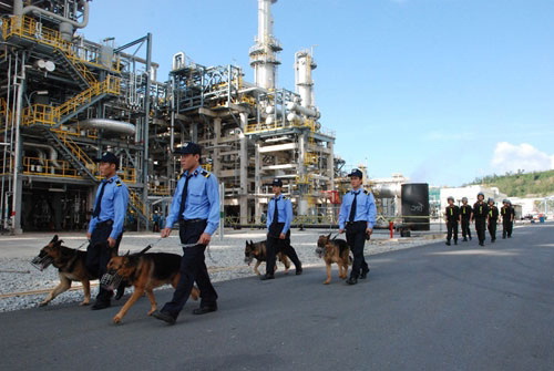 TOP 1 Công Ty Cho Thuê Bảo Vệ Công Trình